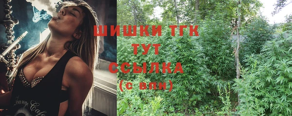 эйфоретик Арсеньев