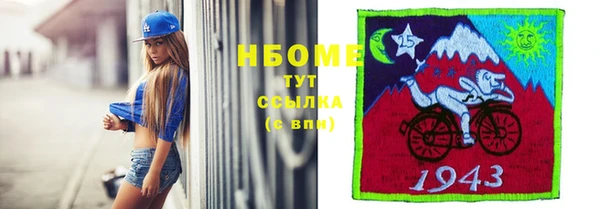 стафф Тайга