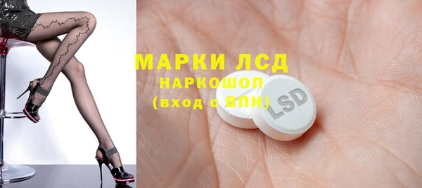 мяу мяу мука Аркадак