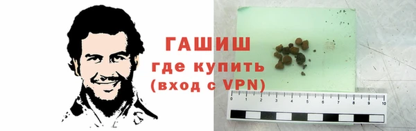 эйфоретик Арсеньев