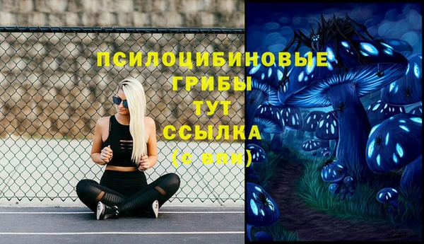 мяу мяу мука Аркадак