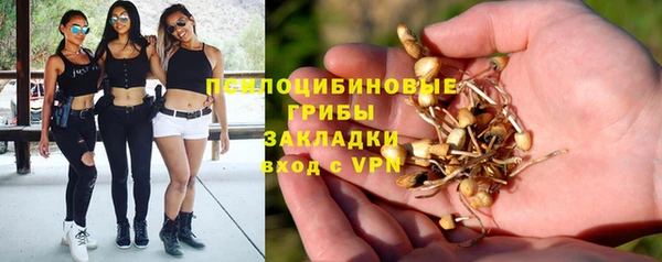 мяу мяу мука Аркадак